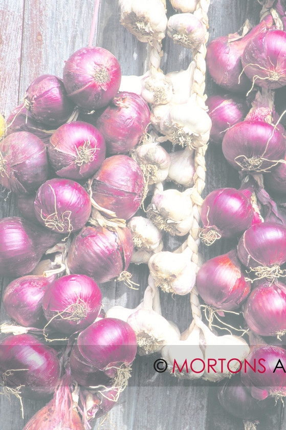 Onion and Garlic3 010 
 Onion and garlic 
 Keywords: garlic, Kitchen Garden, Mortons Archive, Mortons Media Group, onion