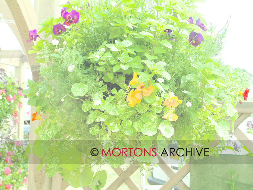 containers 010 
 Containers 
 Keywords: containers, hanging basket, Kitchen Garden, Mortons Archive, Mortons Media Group, pots