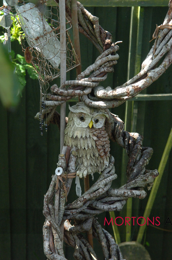 WD523882@48 DSC 0104 
 Owl - your been watched 
 Keywords: feature competition winners, issue dec, Kitchen Garden, month dec, Mortons Archive, Mortons Media Group, other allotment competition 2009, publication kg, year 2009