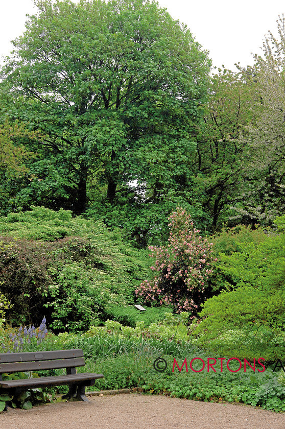 WD555151@20 norton 40 
 Norton Prioy 
 Keywords: cheshire, date 6/2/10, feature norton priory, issue apr, Kitchen Garden, month apr, Mortons Archive, Mortons Media Group, other walled garden, person(s) name john budworth, place norton priory museum and gardens, publication kg, quince, runcorn, year 2010