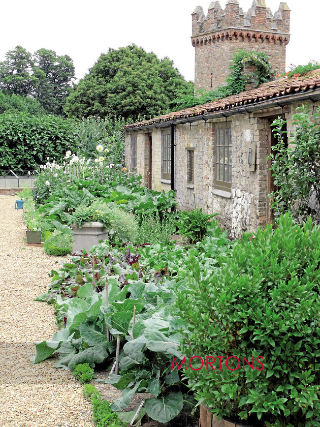 44 oxburgh 24 
 Oxburgh Hall in Norfolk - kitchen garden 
 Keywords: Kitchen Garden, May 11, Mortons Archive, Mortons Media Group