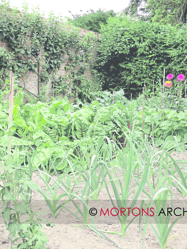 44 oxburgh 18 
 Oxburgh Hall in Norfolk 
 Keywords: Kitchen Garden, May 11, Mortons Archive, Mortons Media Group