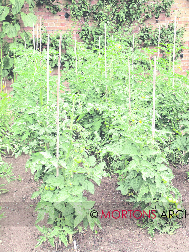 44 oxburgh 14 
 Oxburgh Hall in Norfolk 
 Keywords: Kitchen Garden, May 11, Mortons Archive, Mortons Media Group